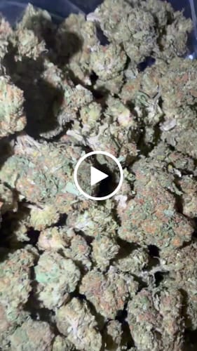 Durban Poison - Bulk - Sativa photo review