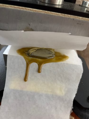 Customer photo review of Grape Ape | THCA Crumble