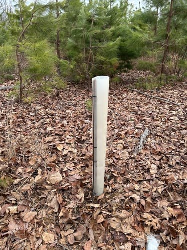 Customer photo review of Tree Pro Grow Tubes