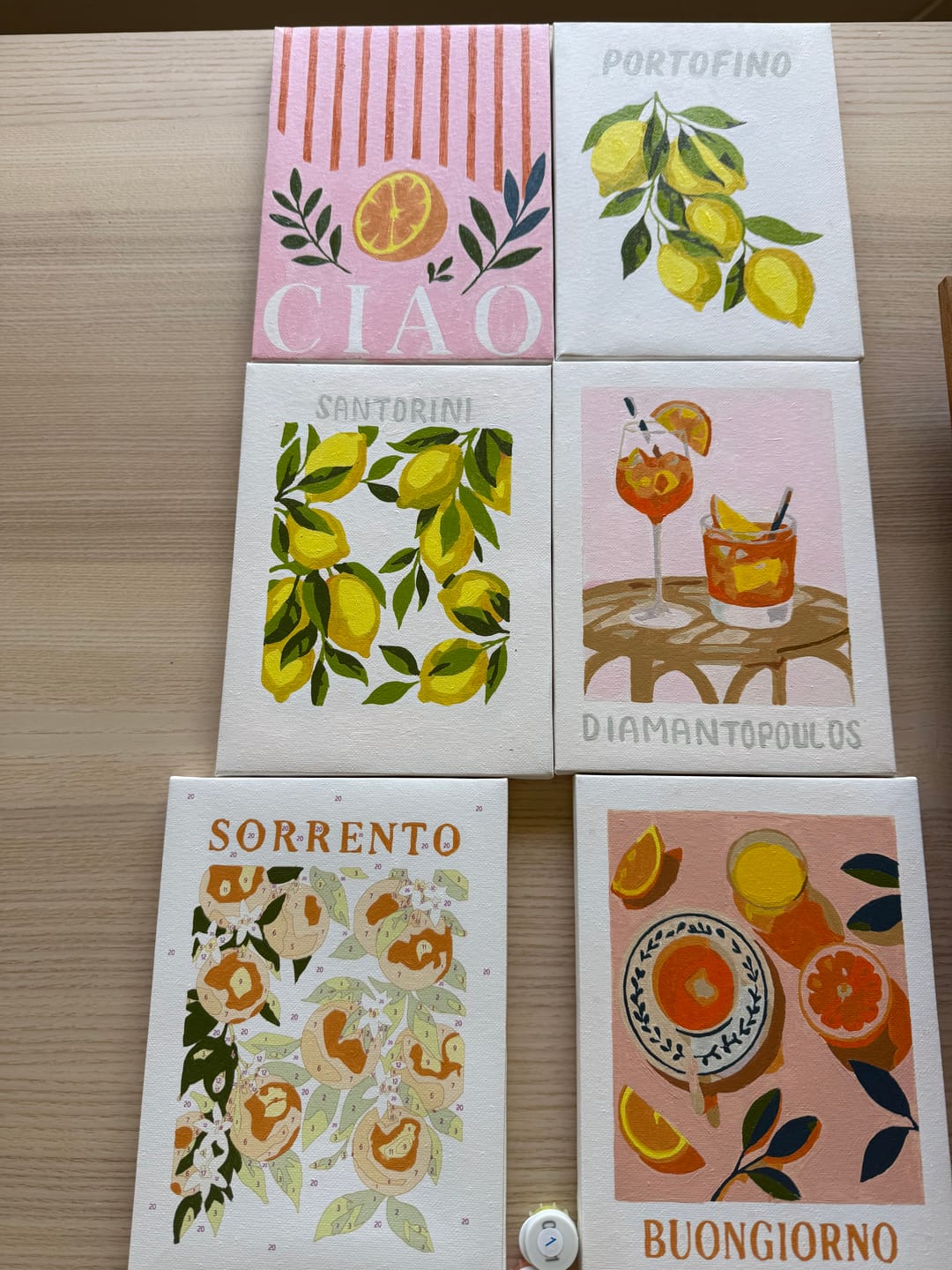 Customer photo review of 6 Mini Paintings - Italian Fruit & Drinks Set