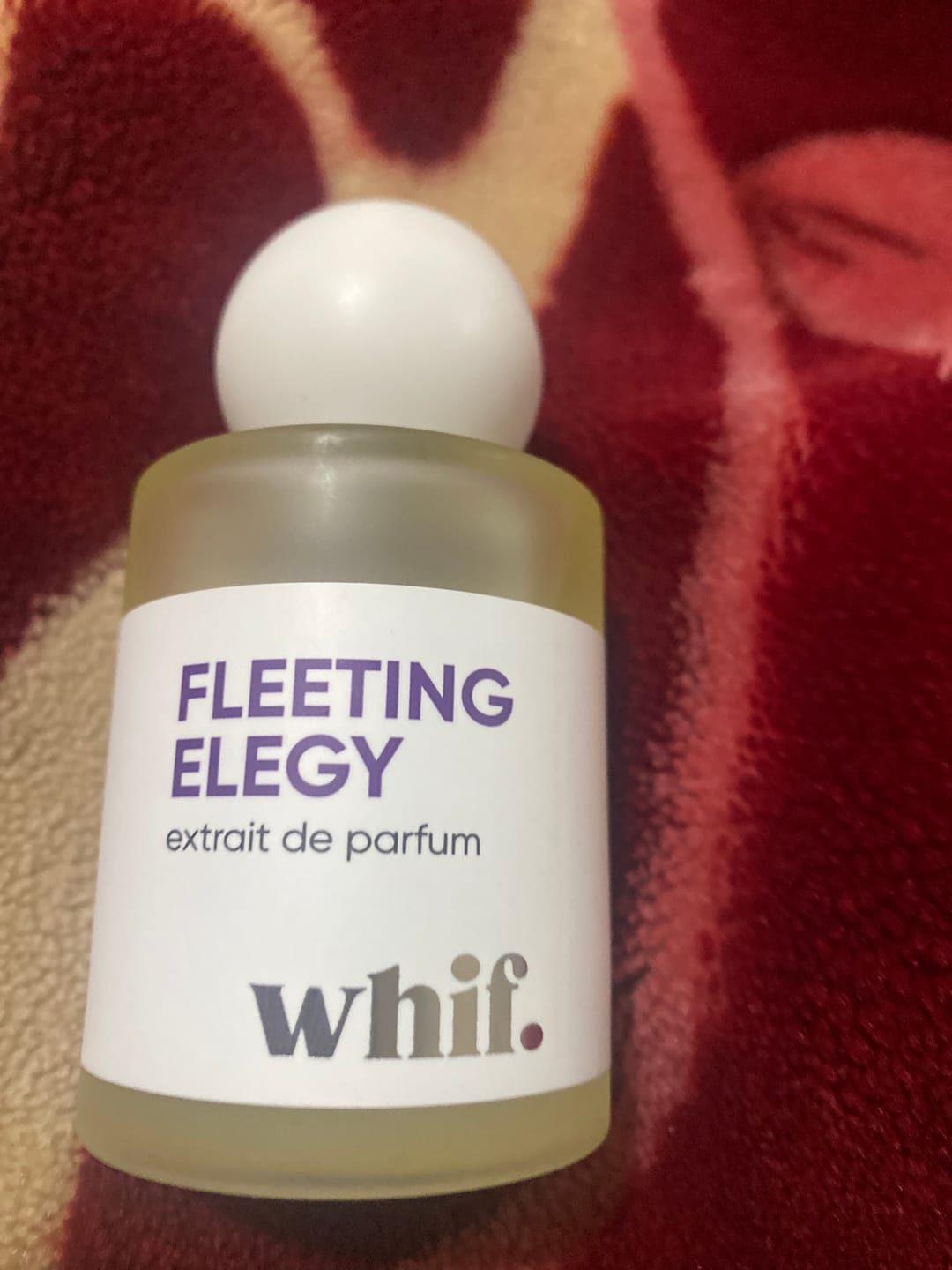 Customer photo review of Fleeting Elegy