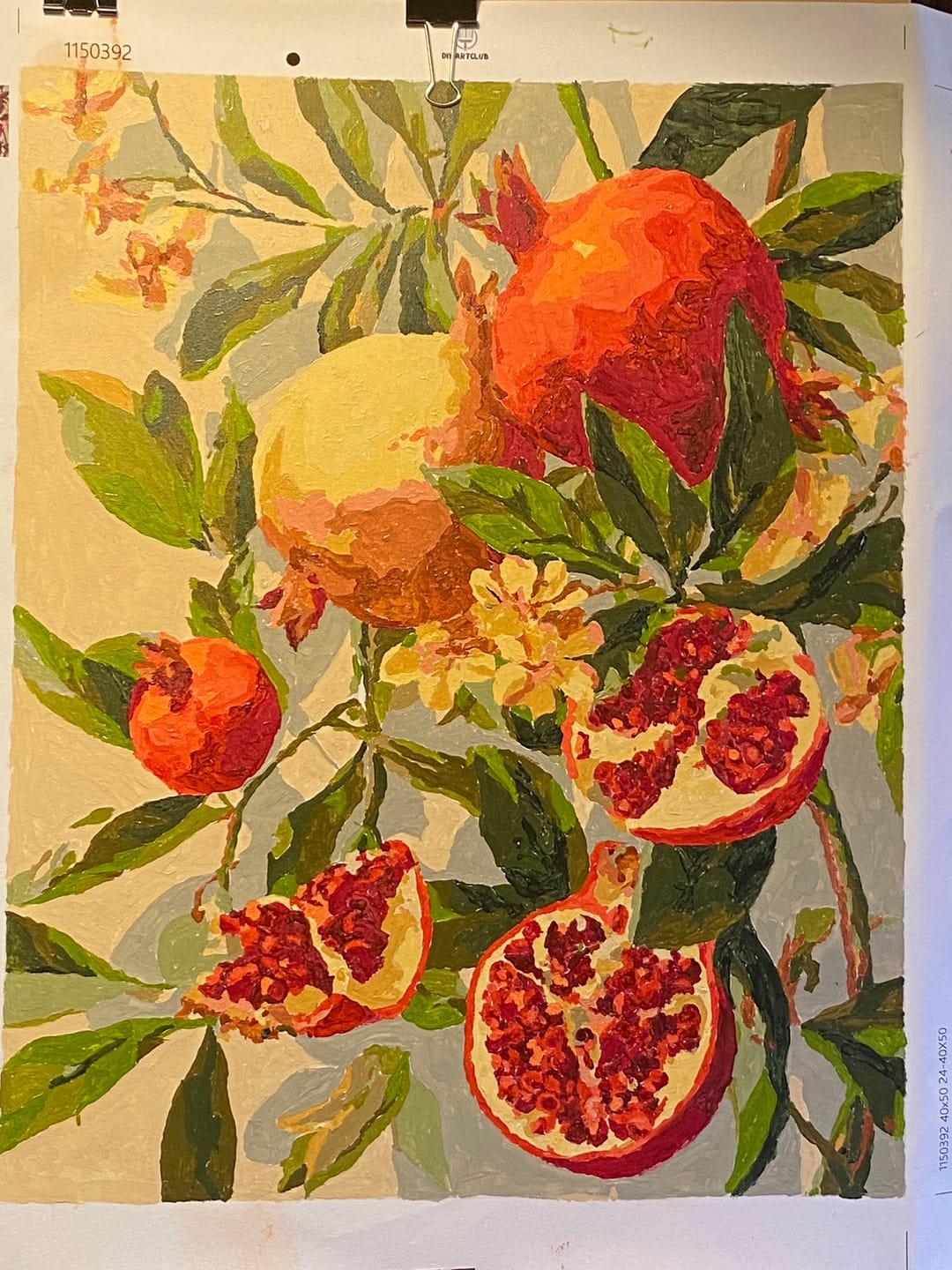 Customer photo review of Blooming pomegranates | Paint by Number