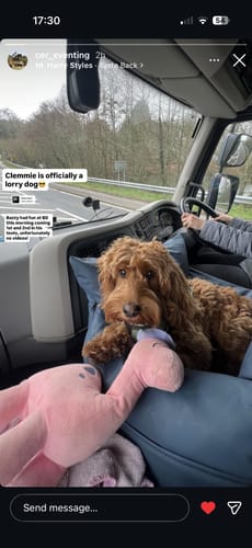 Customer photo review of The Dog Dock V2 New & Improved with ISO Fix