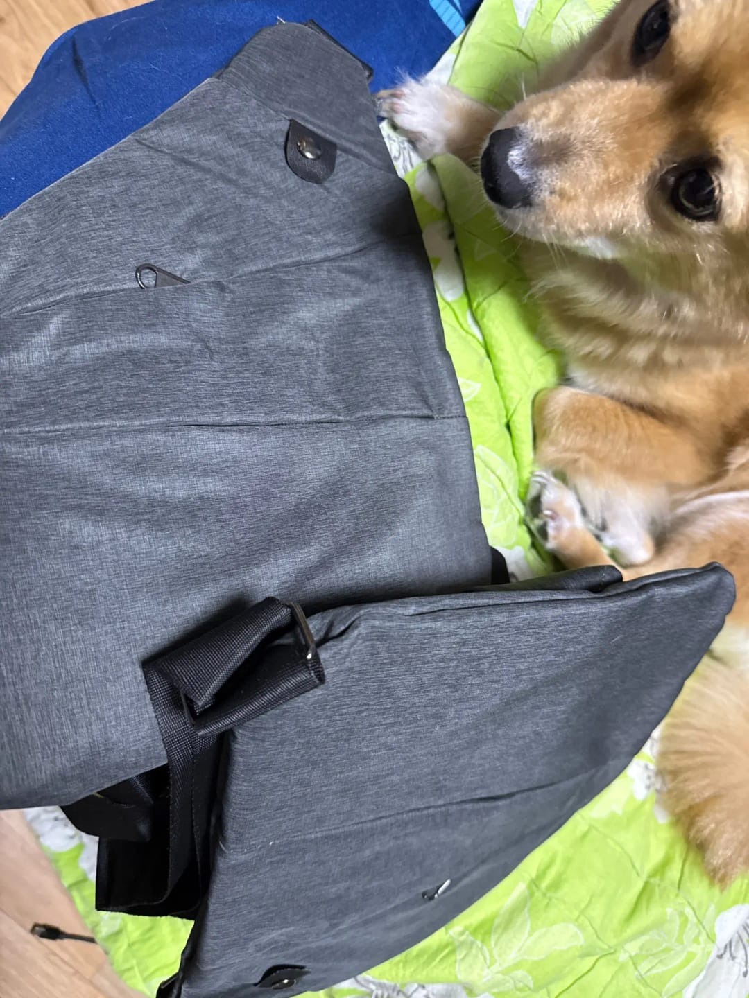 Customer photo review of SecuBag | Anti-Theft Urban Crossbody Bag