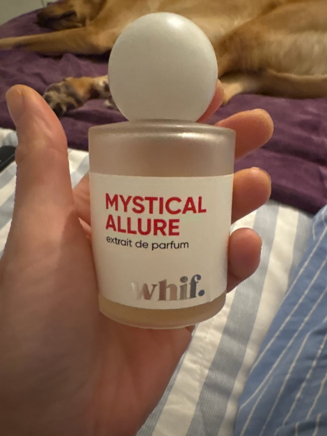 Customer photo review of Mystical Allure