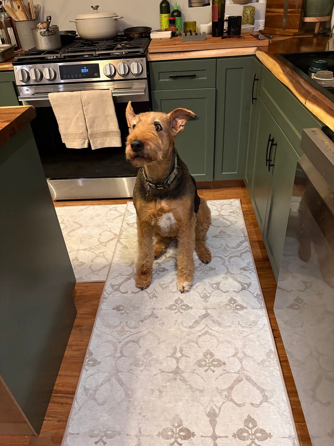 Customer photo review of Leilani Damask Ivory Kitchen Washable Rug