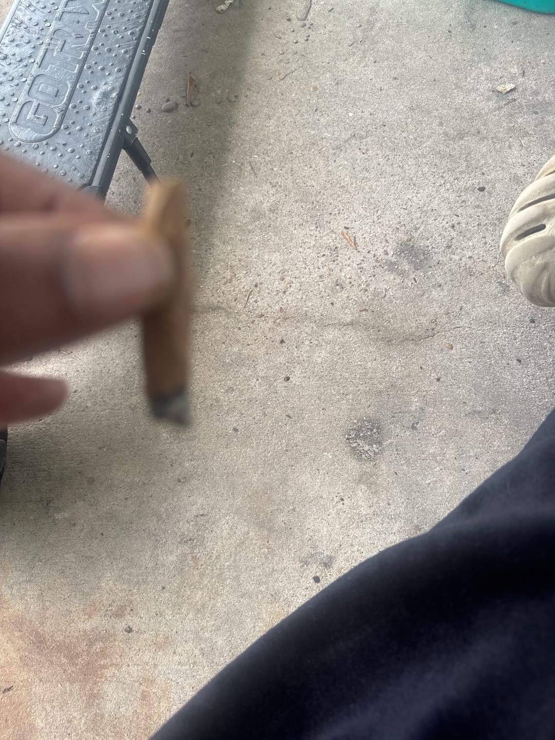Customer photo review of Blueberry Muffin - 28 Grams - Indica