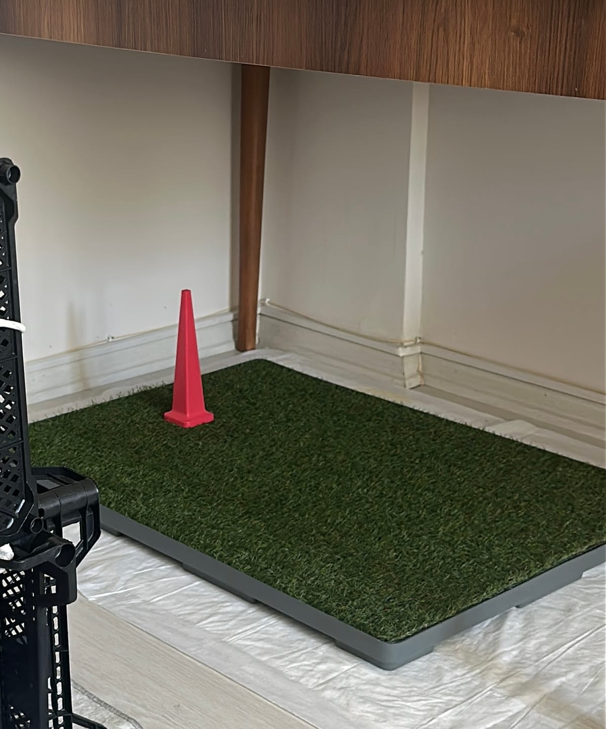 Customer photo review of GreenPee™ Yedek Çim – Akıllı Çim Tuvalet İçin Tek Yedek Parça