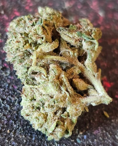 Customer photo review of Versace THCA Flower