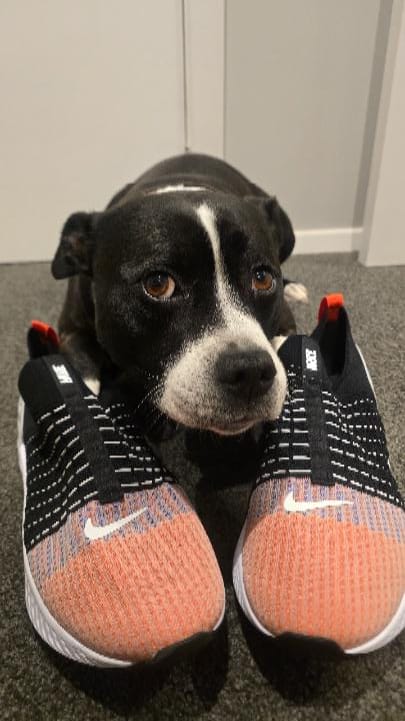 Customer photo review of Nike React Phantom Run Flyknit 2 Black Team Orange
