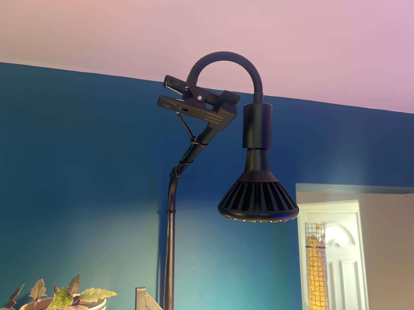 Customer photo review of Stelo Gooseneck Clip-On Bulb Holder