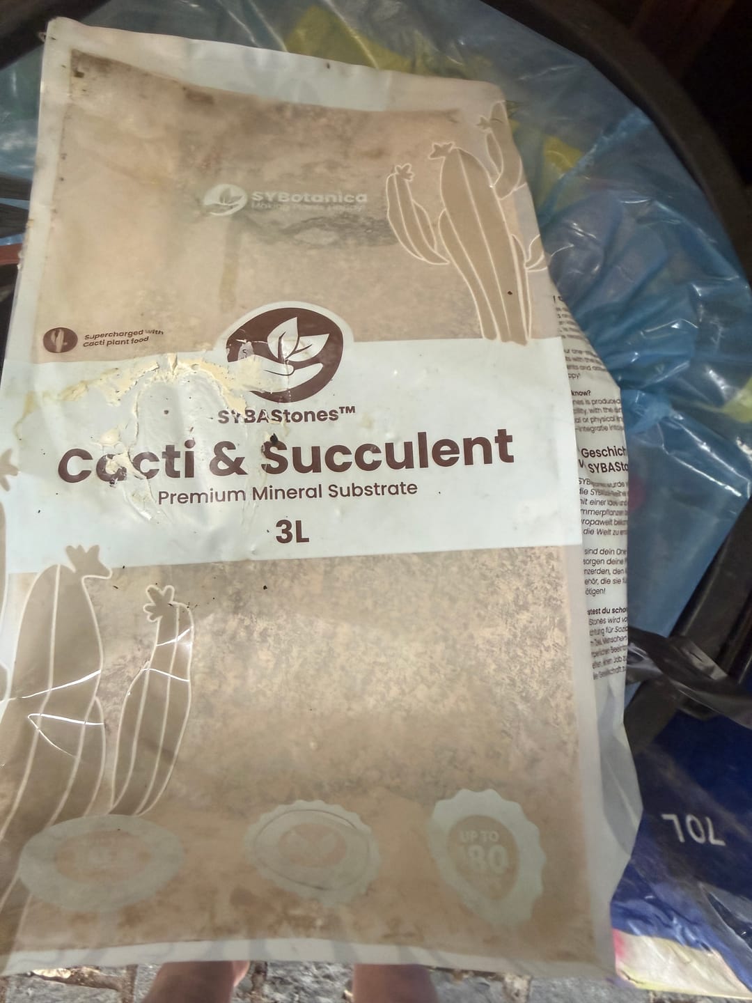 Customer photo review of Cacti & Succulent Mineral Mix