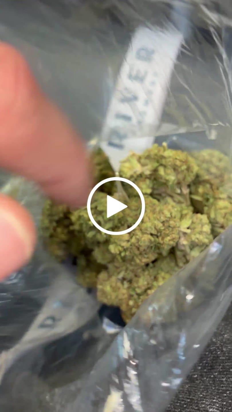 Customer video review of Rainbow Sherbet - 14 Grams - Hybrid