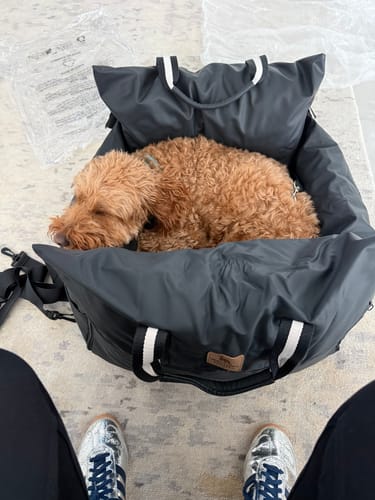Customer photo review of The Dog Dock V2 New & Improved with ISO Fix