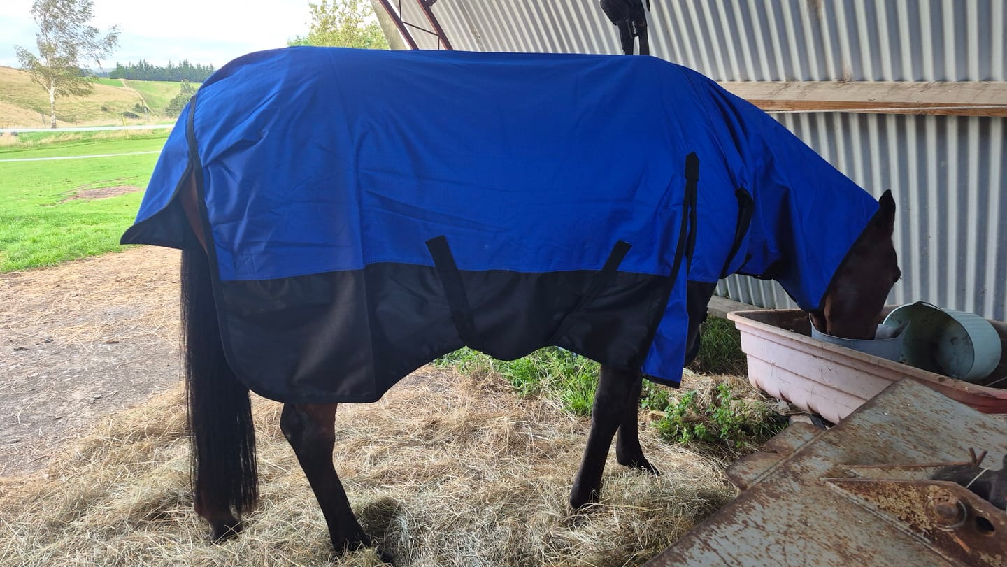 Customer photo review of NZ Tack Duke 1200D Combo