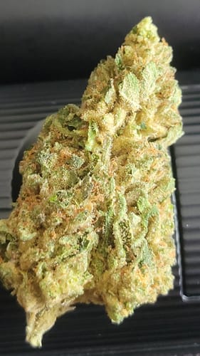 Trainwreck - Bulk - Hybrid photo review