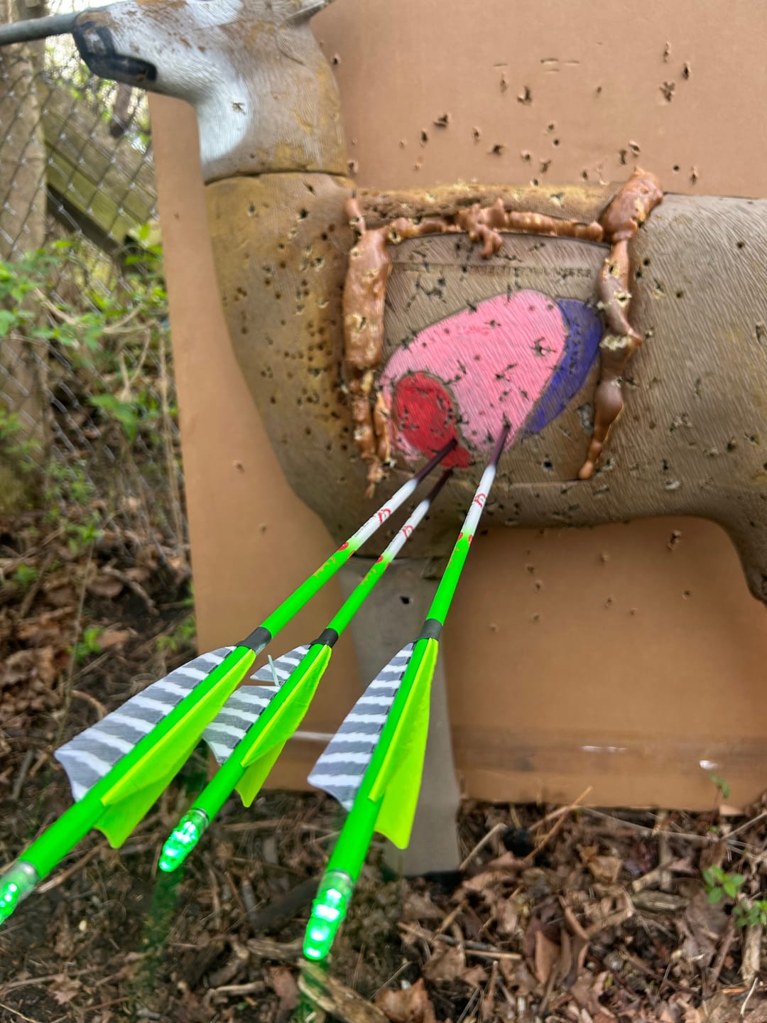 Customer photo review of Practice Tips