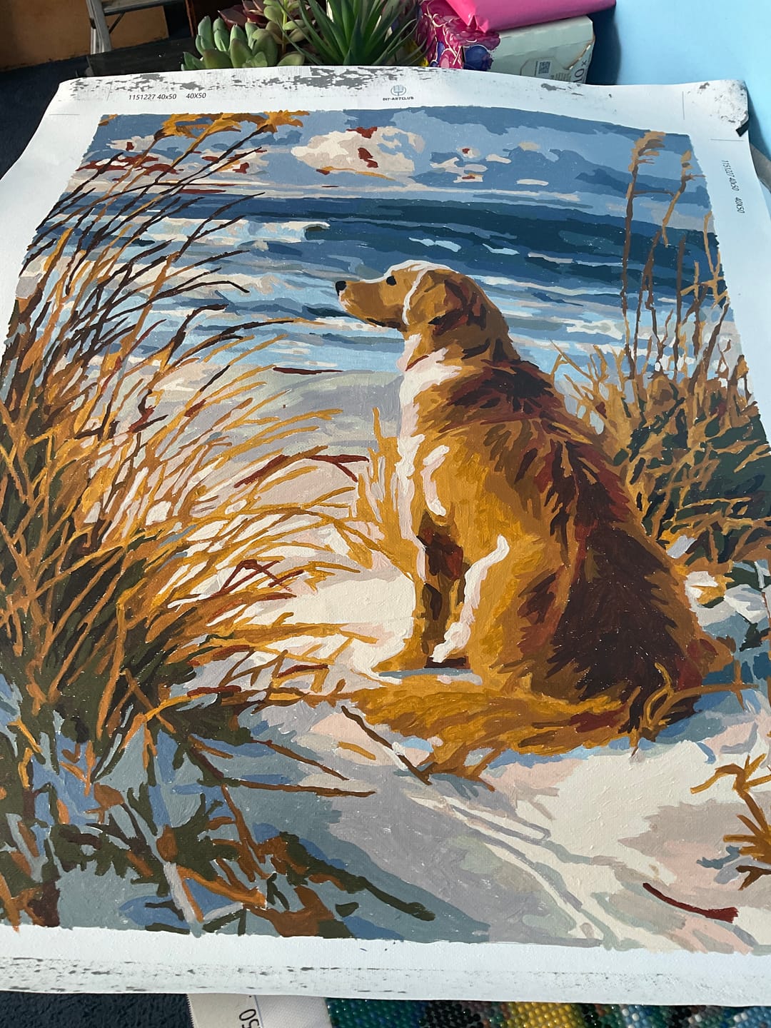 Customer photo review of Waiting Labrador | Paint by Number