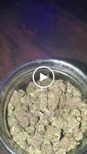 Customer video review of Girl Scout Cookies Smalls (Buy 1 Get 1)