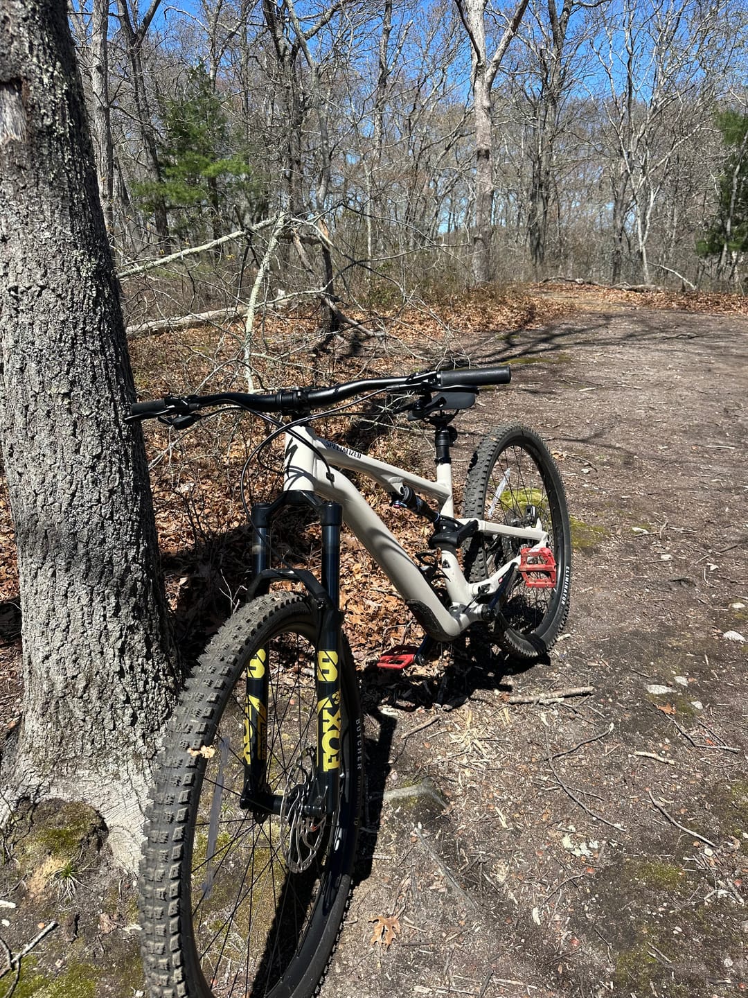 Customer photo review of Metallic Fox 38 Factory Fork Decal