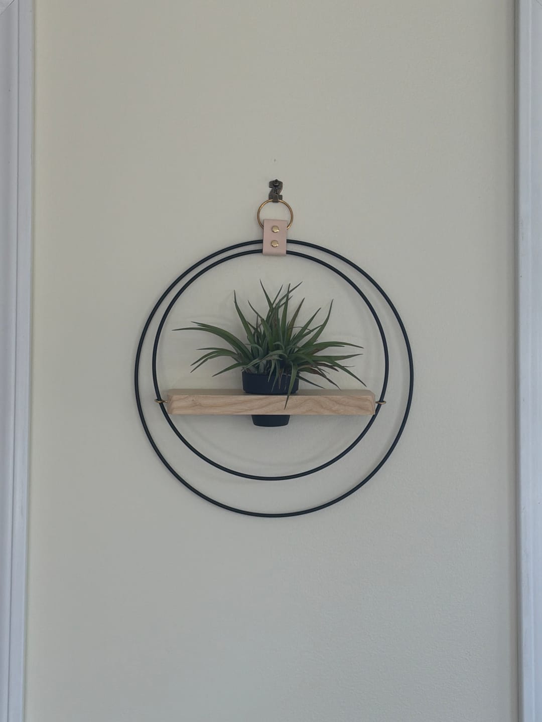 Customer photo review of Air Plant Shelf + Pot Trio
