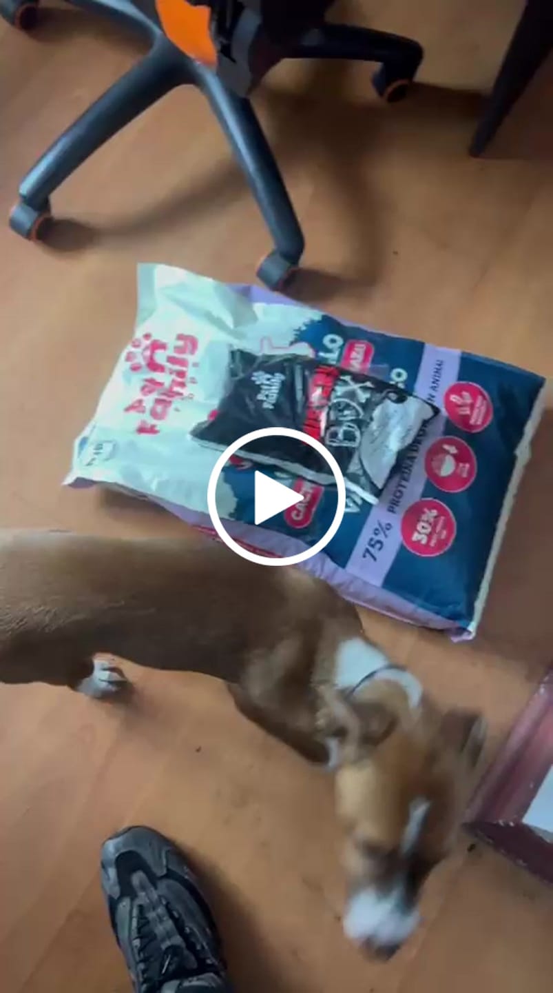 Customer video review of PetFamily Foods Cachorros