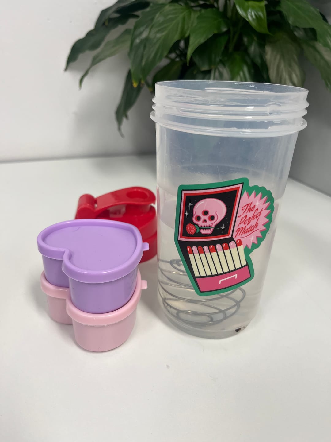 Customer photo review of Vanilla Creme Daily Shake