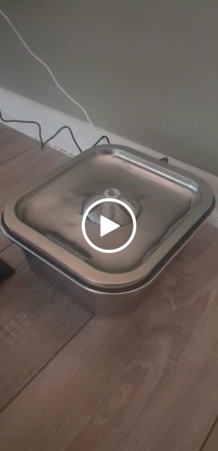 Customer video review of Kedi Su Pınarı | 3L, Çelik, Akıllı, Ultra Sessiz, Mobil Kontrol Destekli, Kedi Çeşmesi (X8651)