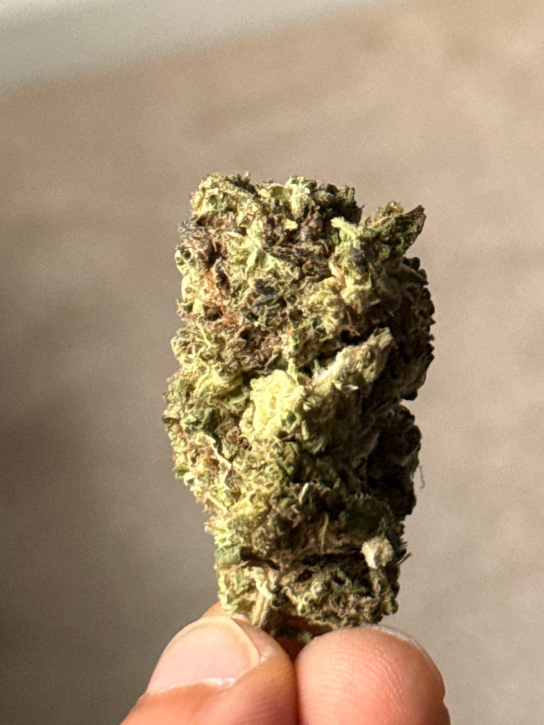 Customer photo review of Skywalker OG - 4 Grams - Indica