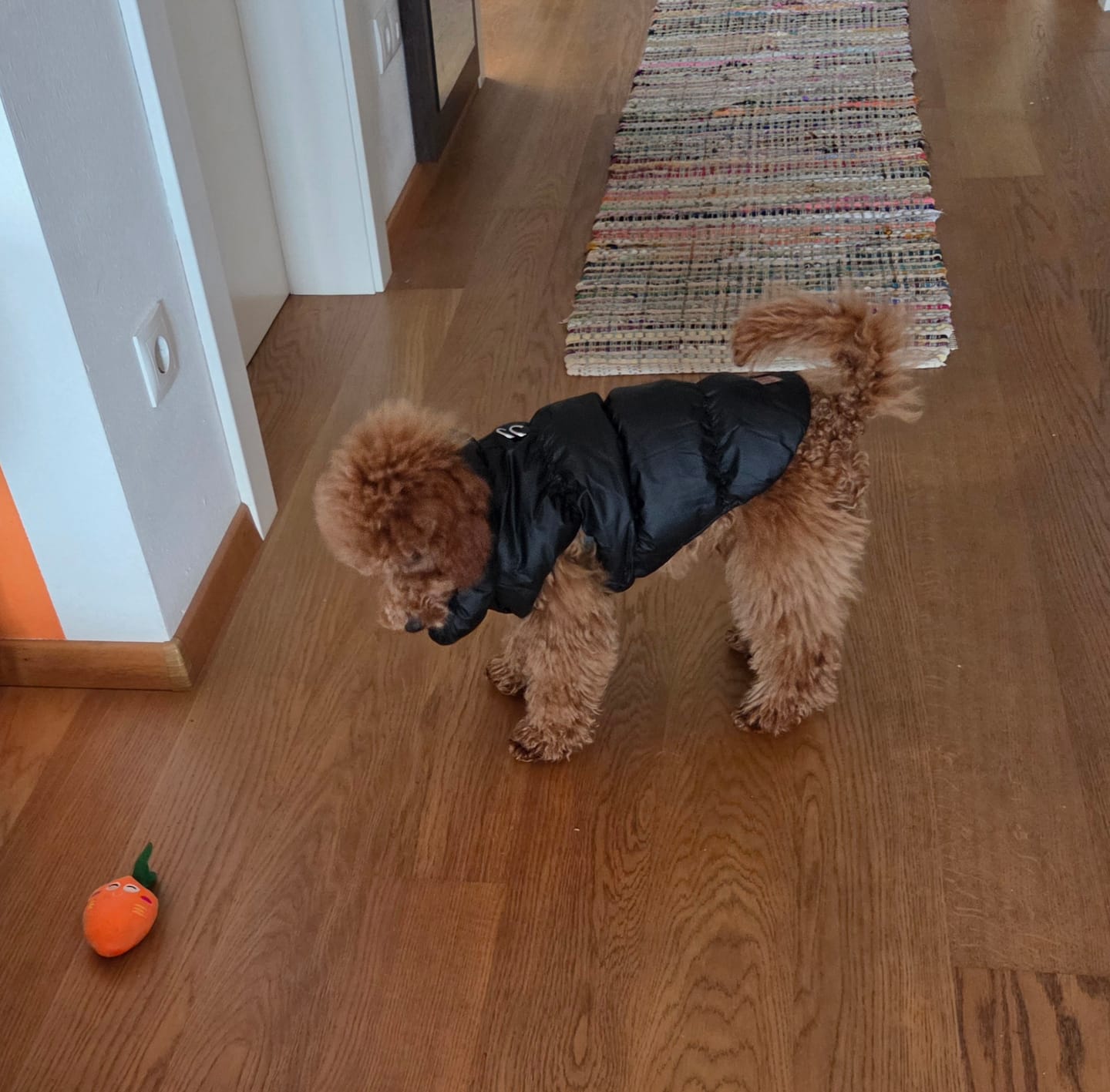 Customer photo review of Sweet Bomber