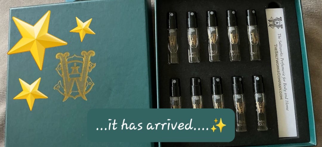 Customer photo review of Discovery Set