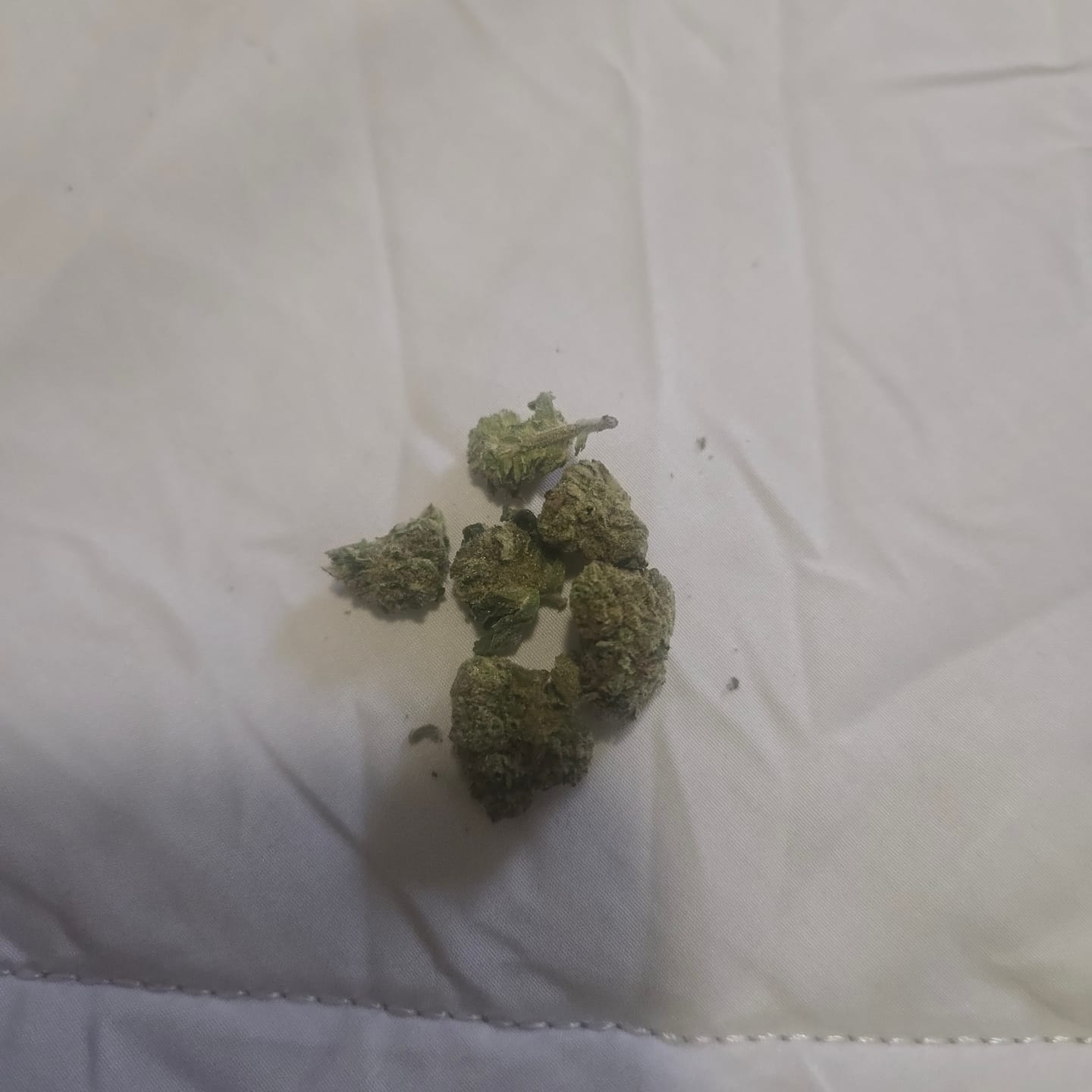 Customer photo review of Strawberry Cough - Minis - 14 Grams - Sativa