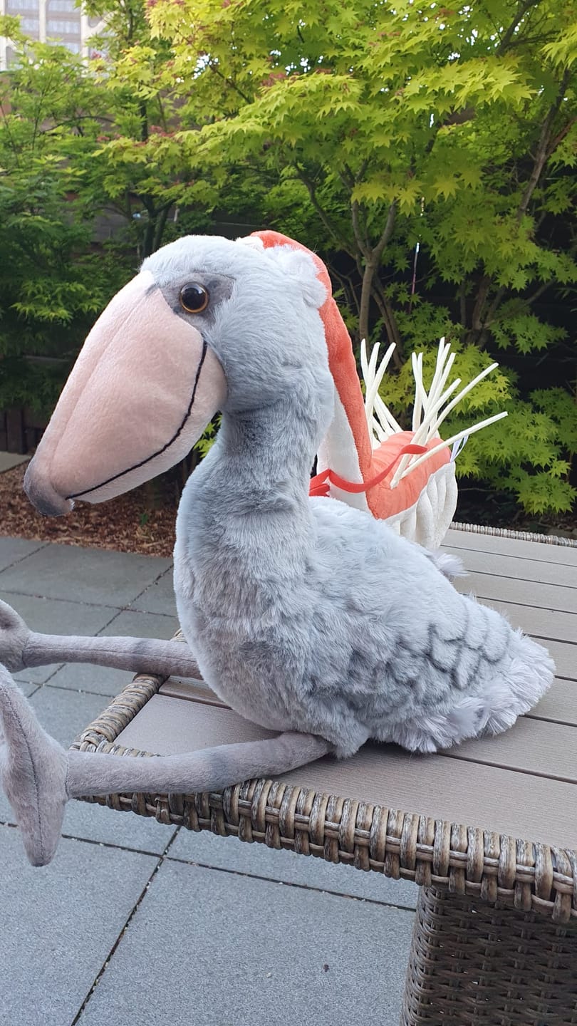 Customer photo review of Shoebill Stork Bird Soft Stuffed Plush Toy