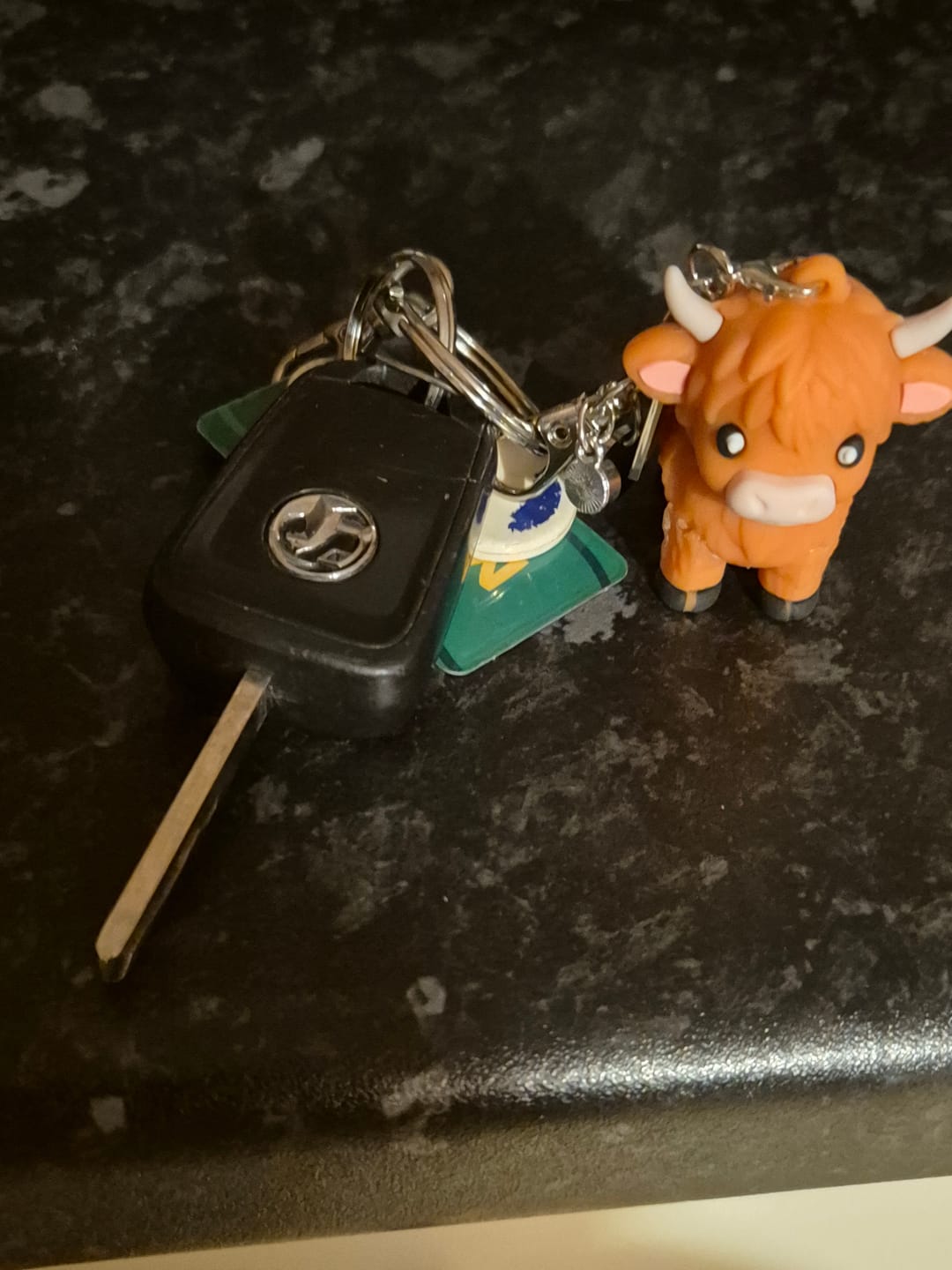 Customer photo review of 🐮A Little Highland Cow For You Keychain: Your Daily Reminder of Quiet Strength