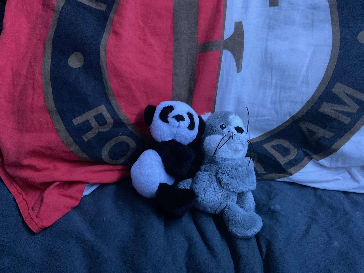 Customer photo review of Mini Lotgenootje Panda