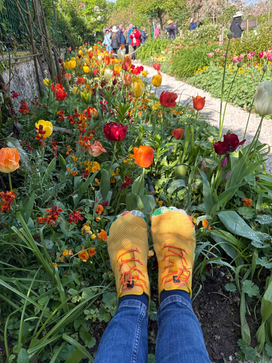 Customer photo review of Smart II - Barefoot Shoes