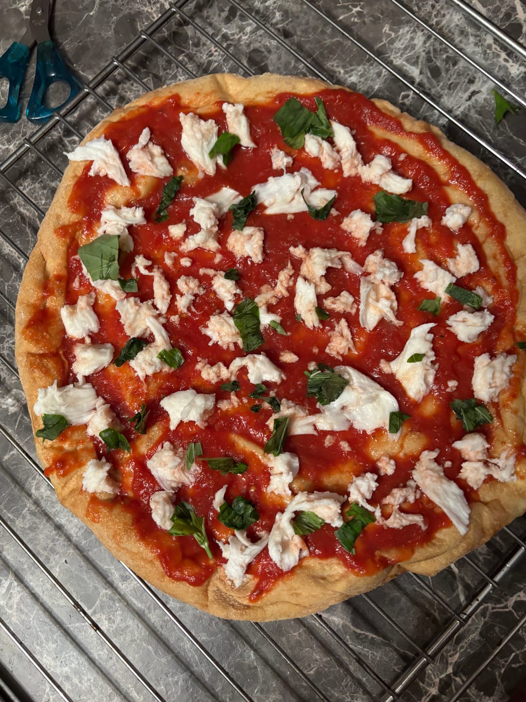 Customer photo review of Pizza sorriso "Low Carb Extreme"
