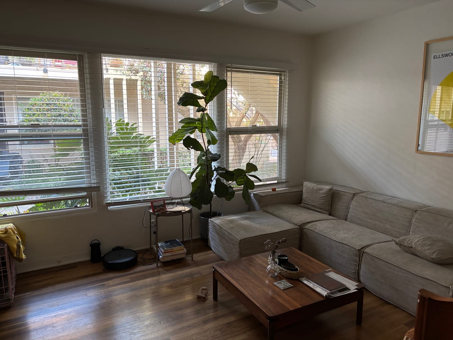 Customer photo review of M1 Sofa Sectional