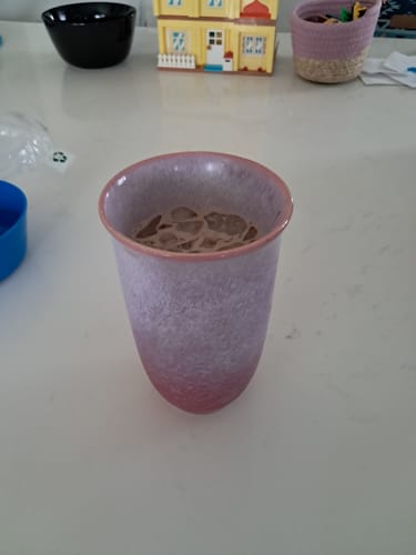 Customer photo review of Astral Bloom Cup 16oz