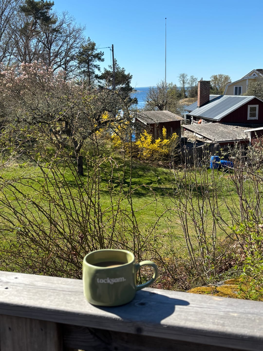 Customer photo review of Tacksam - Majas Mugg - grön