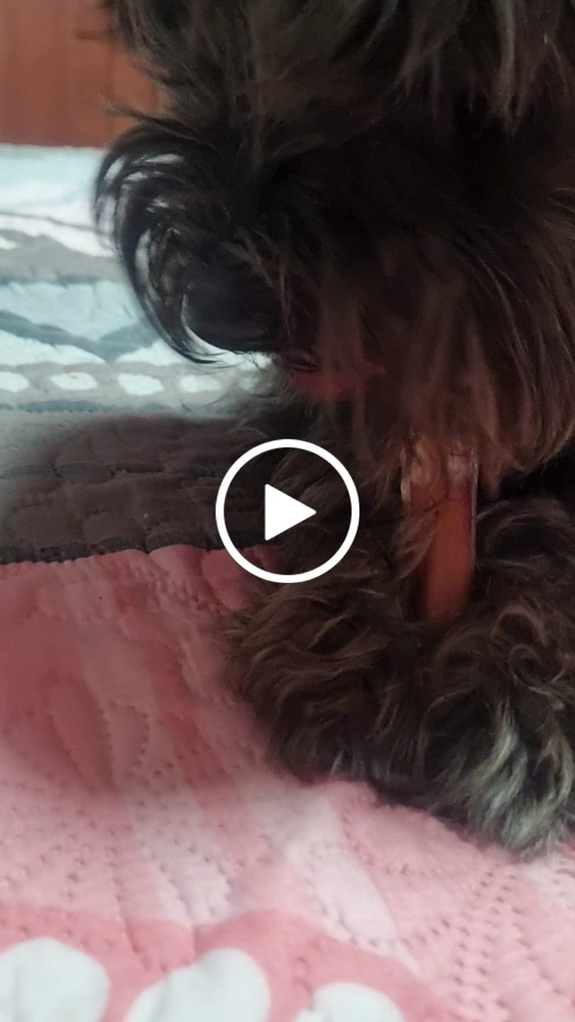 Customer video review of Caldo de Huesos Perros