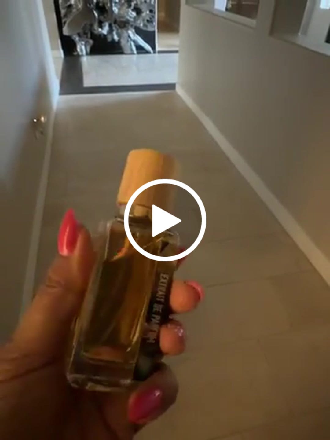Customer video review of The Dust Of Delight