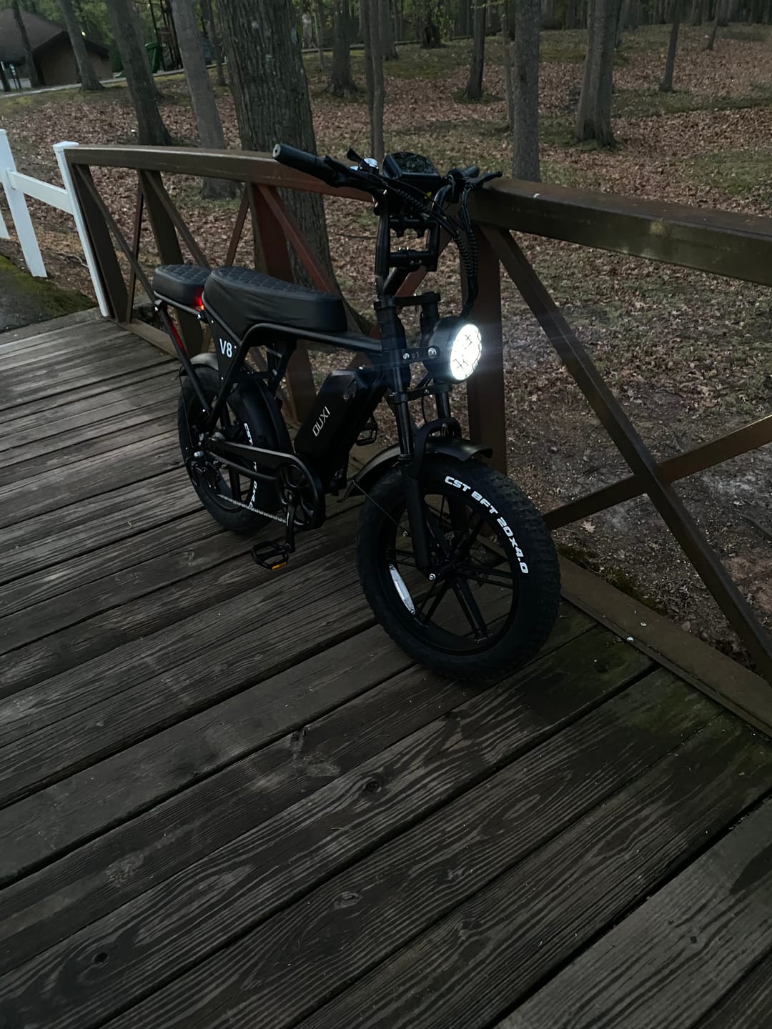 Customer photo review of OUXI V8 750W Fat Tire Electric Bike