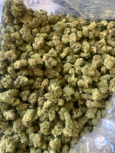 24K Gold Minis - Bulk Minis - Indica photo review