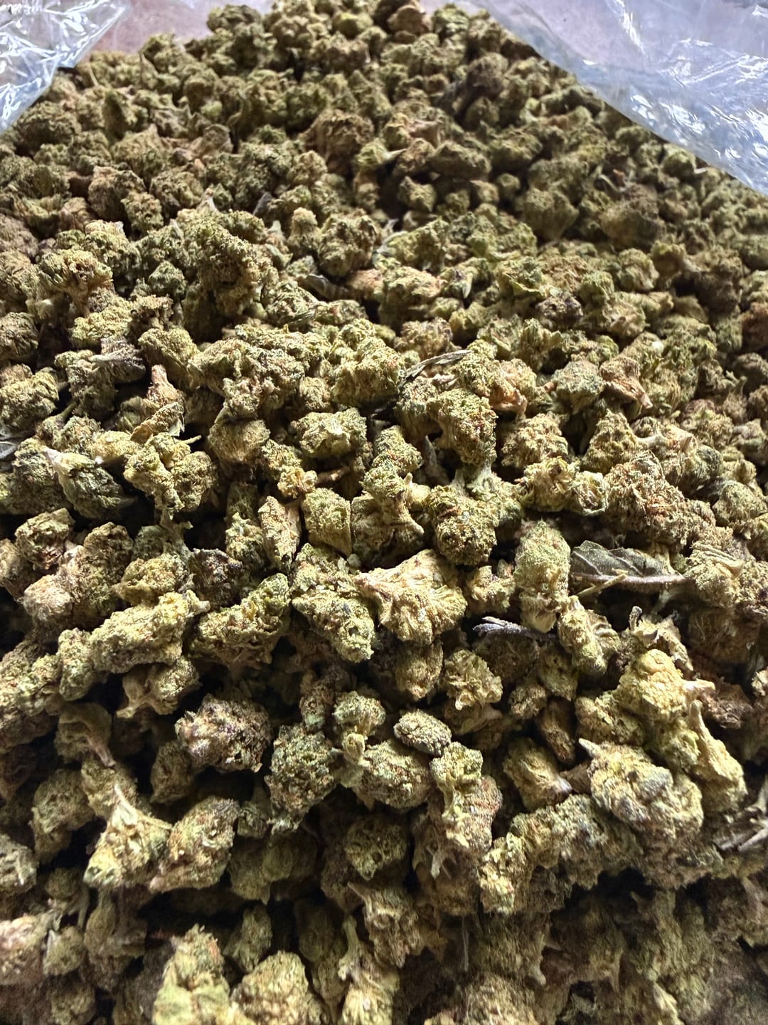 Customer photo review of Gas Cake - 14 Grams Littles - Indica