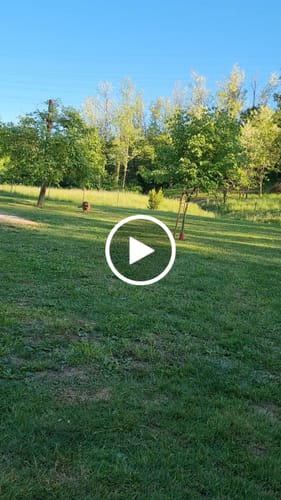 Customer video review of MobiMix za pse in mačke