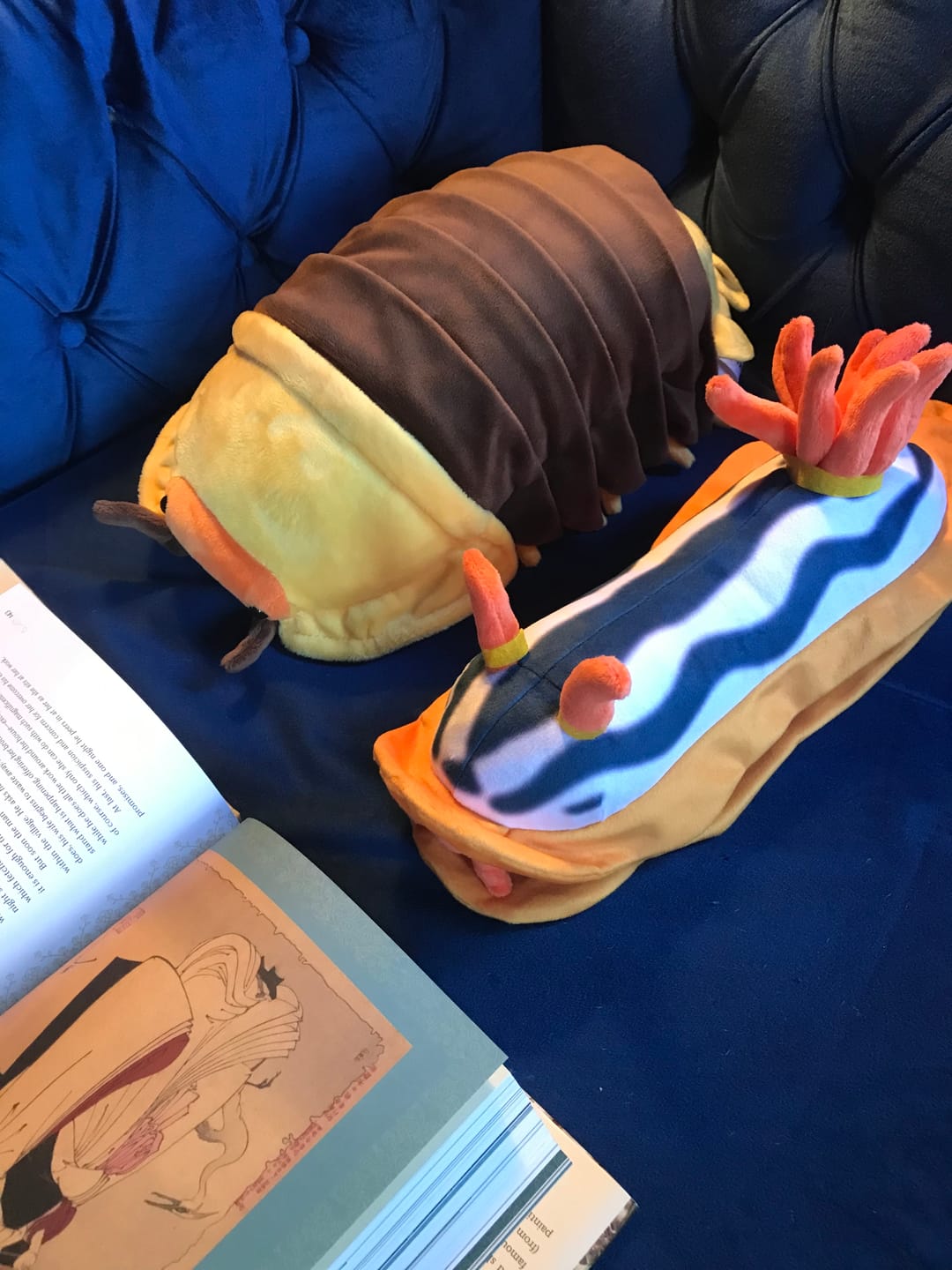 Customer photo review of Rubber Ducky Isopod Soft Stuffed Plush Toy