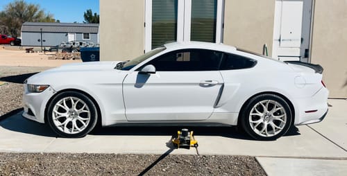 Customer photo review of RUBBIT Electric Foam Sprayer