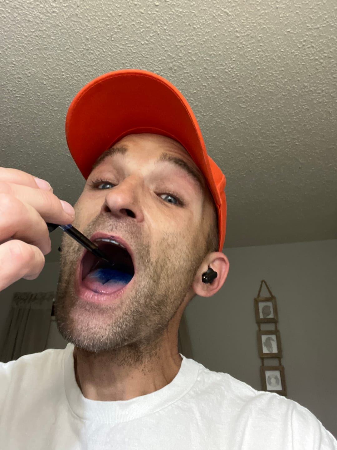 Customer photo review of Meraki Blu USP Grade Methylene Blue 150mg