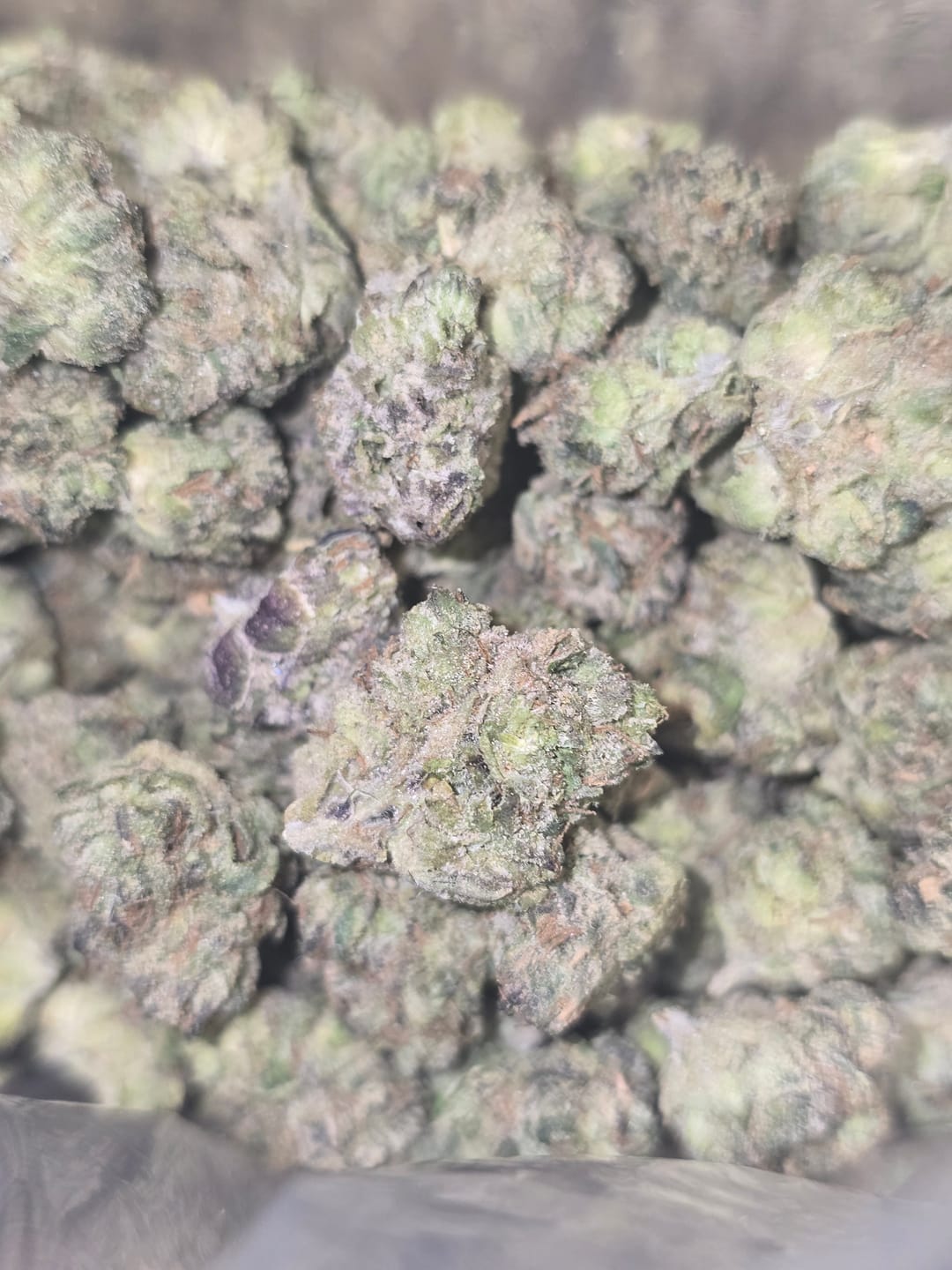 Customer photo review of Pink Runtz Indoor Minis - Bulk Minis - Hybrid